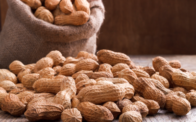 Peanut Allergy Immunotherapy Acquires FDA Approval With Siron Clinical’s Support